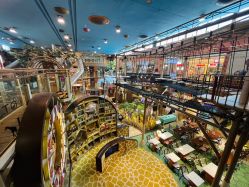 -卡通尼·Safari非洲探索乐园·生日会(金桥国际商业广场店)