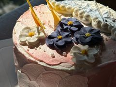 -36cake生日蛋糕(福田店)