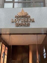 -雅荷悦来双美