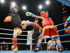 -津武堂散打搏击俱乐部(河西店)