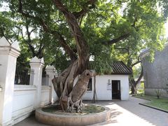 -黄埔军校旧址纪念馆