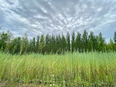 -野鸭湖国家湿地公园