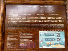 -华侨城湿地公园