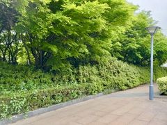 -蠡湖大桥公园