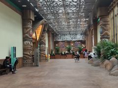 -杭州开元森泊度假乐园