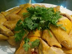 湛江鸡-瑞记湛江鸡饭店·粤西第一鸡(粤垦店)