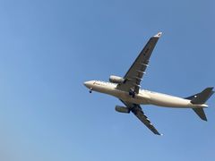 -空港花田景区