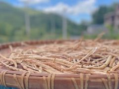 -全国青少年井冈山革命传统教育基地