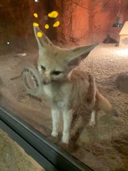 -酷嗒动物文化乐园(cutezoo西溪乐天城店)