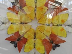 -食悦江南·淮扬菜·烤鸭(亚运村·惠新店)