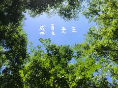 -缪斯琴行英皇小提琴.钢琴.吉他(张江店)