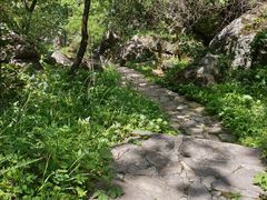 -秦岭终南山世界地质公园翠华山景区