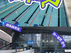 -南山文体中心-游泳馆