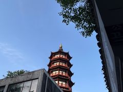 -绳金塔