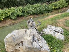 -扬州市茱萸湾风景区