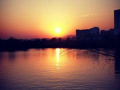 -八仔大富楼·河鲜(西江店)