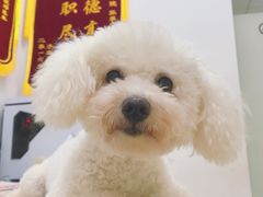 -创凡宠物医院·骨专科  猫科中心(西乡分院)
