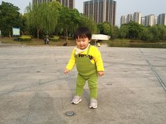 -南翔镇银翔湖公园