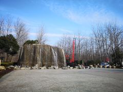 -合肥滨湖国家森林公园