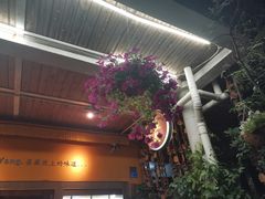-缘生态云南菜·野生菌庭院餐厅(华侨城店)