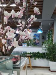 -素合写真摄影(合肥原创店)