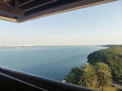 -大湾区中央湿地公园