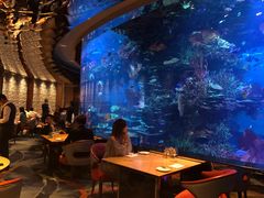 -迪拜帆船酒店海底餐厅