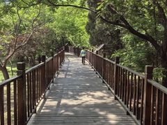 -北京麋鹿生态实验中心