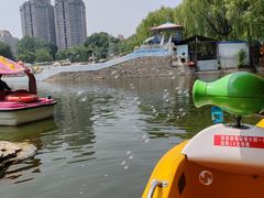 -团结湖公园