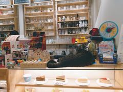 -猫的天空之城概念书店(苏州平江店)