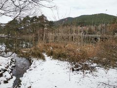 -庐山风景名胜区