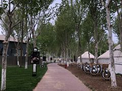 -九十九顶毡房(阜石路店)