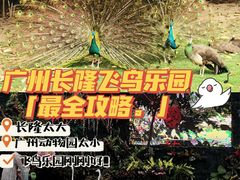 -广州长隆飞鸟乐园