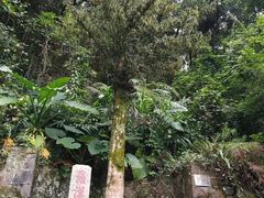 -安溪清水岩