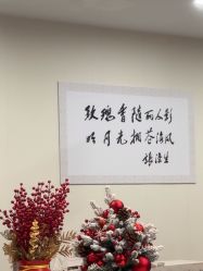 -上海玫瑰医疗美容医院