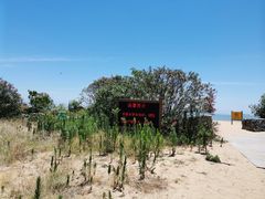 -普陀山风景名胜区-千步大沙