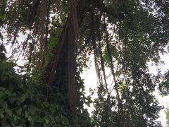 -乌山风景区