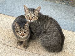 -万达广场(南宁青秀店)