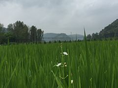 -南泥湾风景区