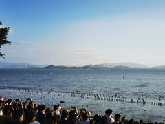 -深圳湾公园(南山区)
