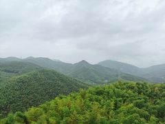 -宁波浙东大竹海景区