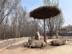 -北京野生动物园