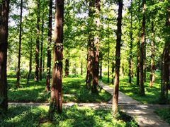 -国家植物园南园