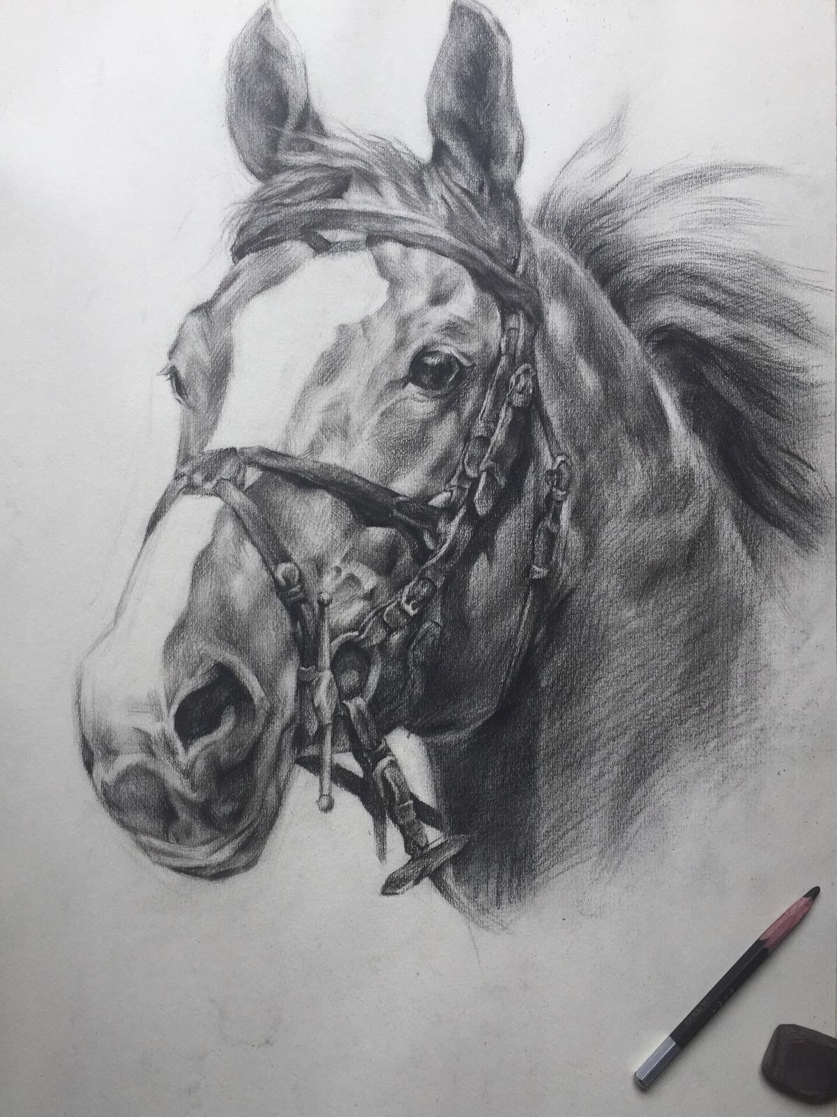 学画的点滴,刚完成的素描作品