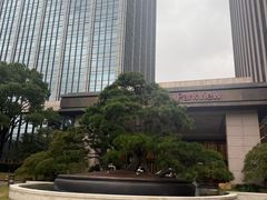 -上海宝华万豪酒店