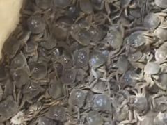 -海鲜皇宫(景泰翰林店)