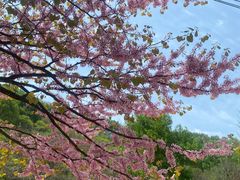 -西安祥峪森林公园