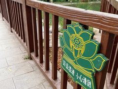 -莲花池公园