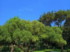 -云溪植物园
