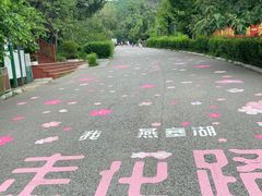 -燕塞湖鸟语林景区